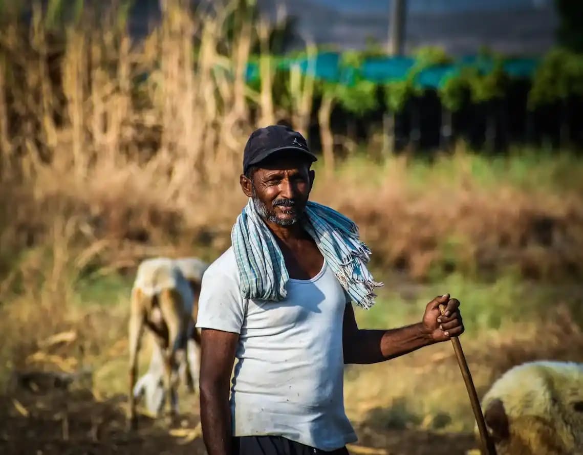من الحقل إلى المصنع، يحصل الجميع على أجورهم بسرعة.