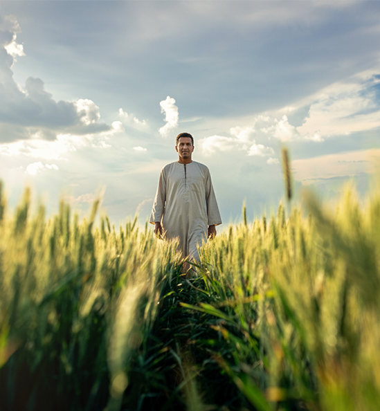 منظومة متكاملة بتساعدك تقبّض فريقك الزراعي